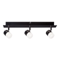 Paulmann 50099 - 3xLED/6,5W prigušiva LED spot svetiljka SMART DEON 230V ZigBee
