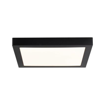 Paulmann 70985 - LED/22W Plafonsko svetlo ABIA 230V