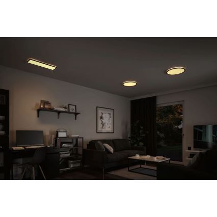 Paulmann 71003 - LED/22W prigušiva panel ATRIA 230V 3000K 20x58 cm crna
