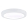 Paulmann 71021 - LED/22W plafonsko svetlo ABIA 230V belo