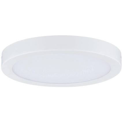 Paulmann 71021 - LED/22W plafonsko svetlo ABIA 230V belo