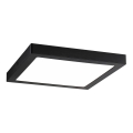 Paulmann 71026 - LED/22W plafonska svetiljka ABIA 230V crna