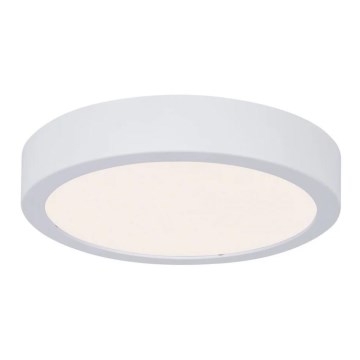 Paulmann 78923 - LED/13W IP44 prigušiva plafonska svetiljka za kupatilo AVIAR 230V