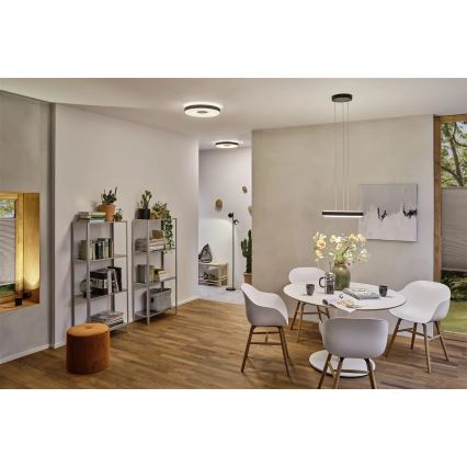 Paulmann 79518 - LED/23W prigušiva plafonska svetiljka PURIC PANE 230V