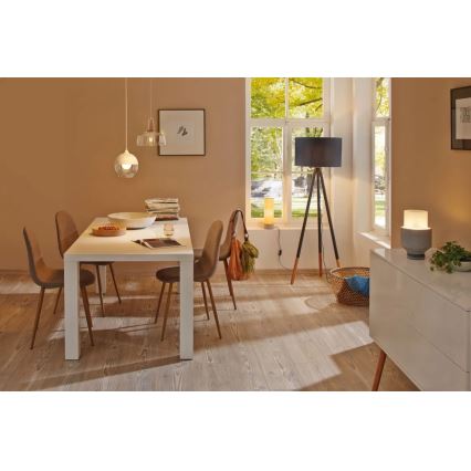 Paulmann 79633 - 1xE27/20W Stojeća lampa RURIK 230V