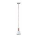 Paulmann 79656 - 1xE14/20W  Luster na sajli NEORDIC HALDAR 230V