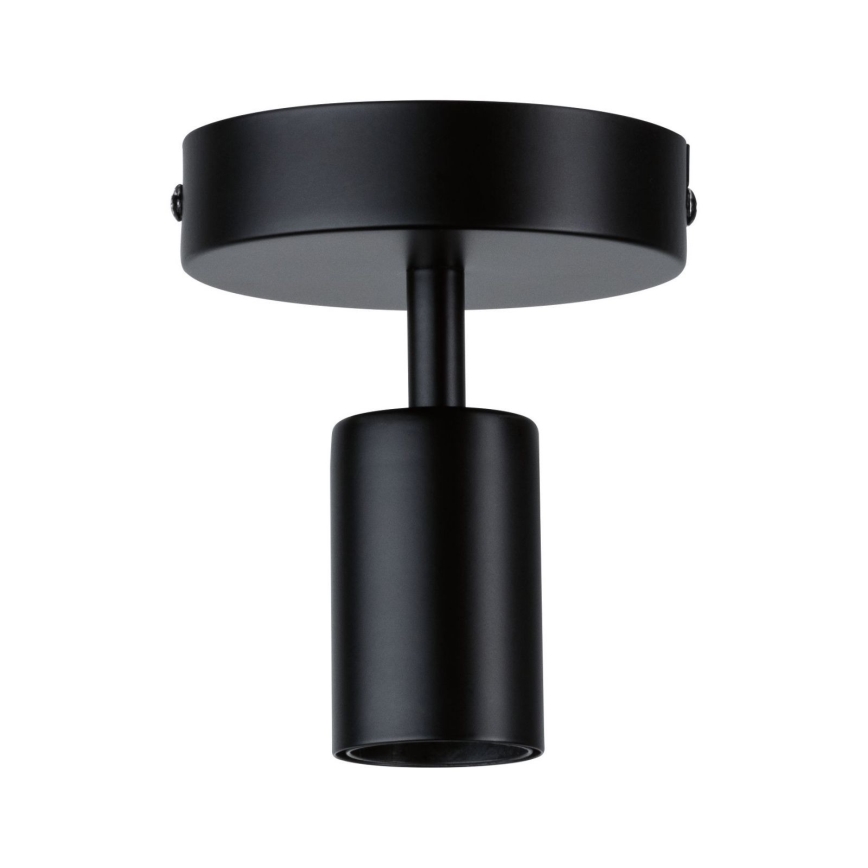 Paulmann 79760 - Plafonsko svetlo HALDOR 1xE27/20W/230V