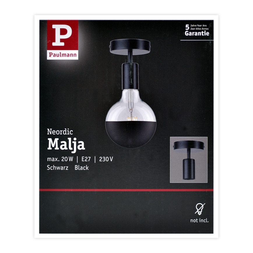 Paulmann 79760 - Plafonsko svetlo HALDOR 1xE27/20W/230V