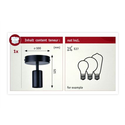 Paulmann 79760 - Plafonsko svetlo HALDOR 1xE27/20W/230V