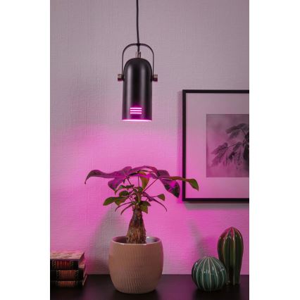 Paulmann 79766 - LED RGBW 1xE27/9W viseća lampa na sajli LAVEA 230V crna