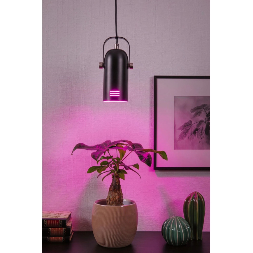 Paulmann 79766 - LED RGBW 1xE27/9W viseća lampa na sajli LAVEA 230V crna