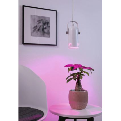 Paulmann 79767 - LED RGBW 1xE27/9W visilica na sajli LAVEA 230V bela