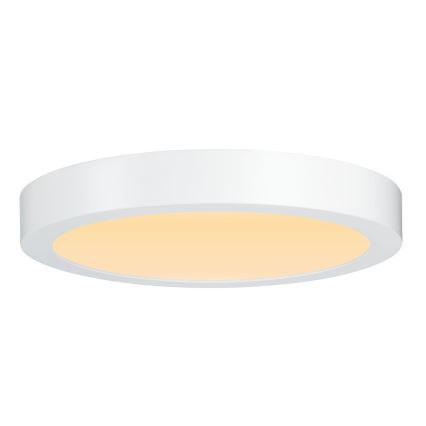 Paulmann 79799 - LED/19W Plafonsko svetlo CARPO 230V 2300/2500/3000K
