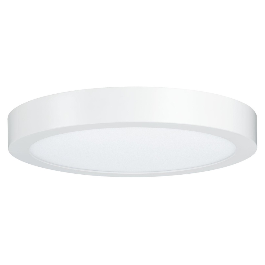 Paulmann 79799 - LED/19W Plafonsko svetlo CARPO 230V 2300/2500/3000K