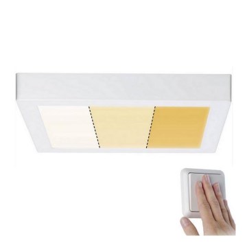 Paulmann 79801 - LED/13W Plafonsko svetlo CARPO 230V 2300/2500/3000K