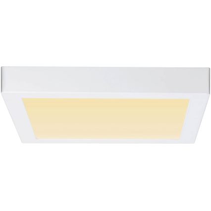 Paulmann 79801 - LED/13W Plafonsko svetlo CARPO 230V 2300/2500/3000K