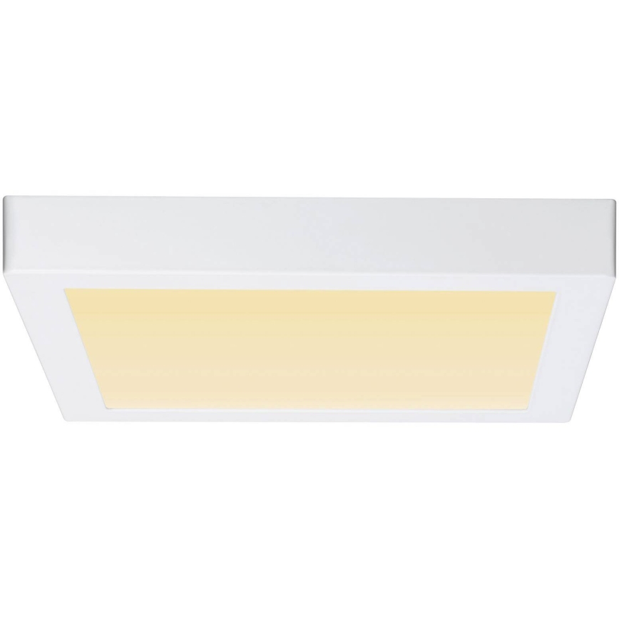 Paulmann 79801 - LED/13W Plafonsko svetlo CARPO 230V 2300/2500/3000K