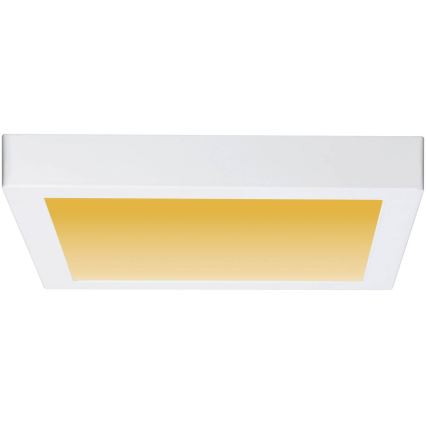 Paulmann 79801 - LED/13W Plafonsko svetlo CARPO 230V 2300/2500/3000K