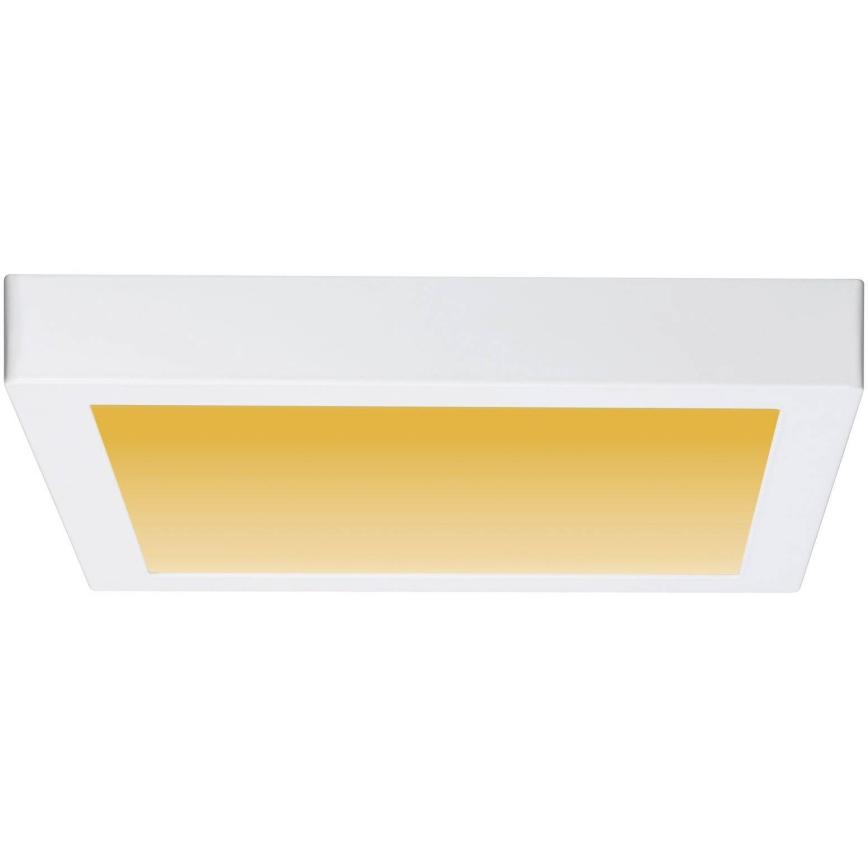Paulmann 79801 - LED/13W Plafonsko svetlo CARPO 230V 2300/2500/3000K
