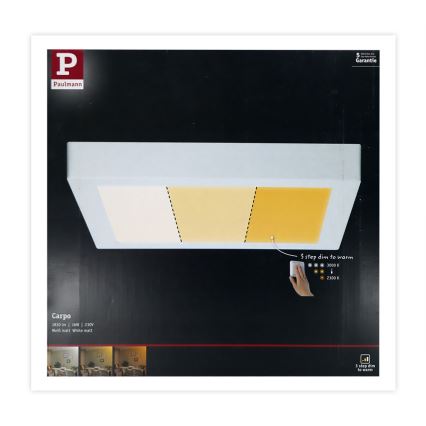 Paulmann 79801 - LED/13W Plafonsko svetlo CARPO 230V 2300/2500/3000K