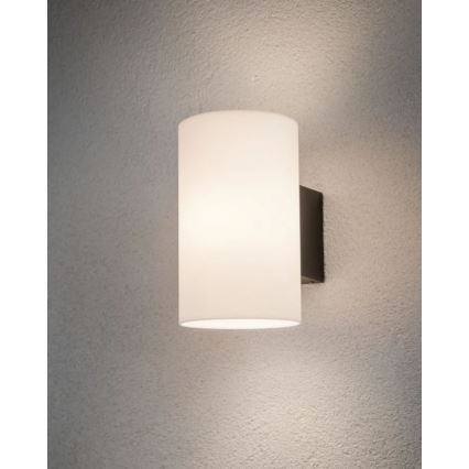 Paulmann 94186 - 1xE27/15W IP54 Spoljašnja zidna svetiljka TUBE 230V