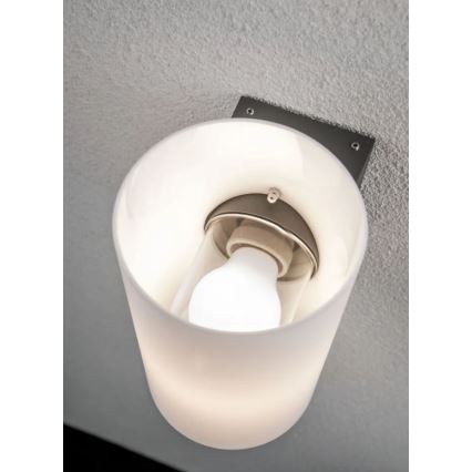 Paulmann 94186 - 1xE27/15W IP54 Spoljašnja zidna svetiljka TUBE 230V