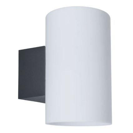 Paulmann 94186 - 1xE27/15W IP54 Spoljašnja zidna svetiljka TUBE 230V