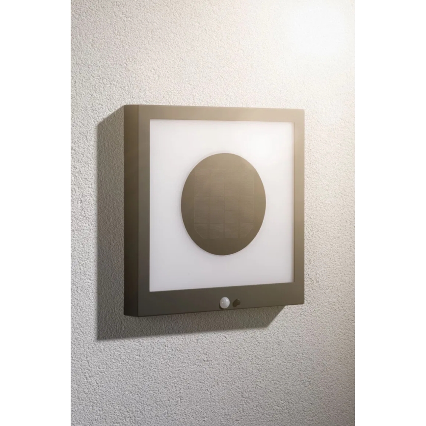Paulmann 94263 - LED/1,2W IP44 Solarno zidno svetlo sa senzorom TAIJA 3,7V 1800 mAh