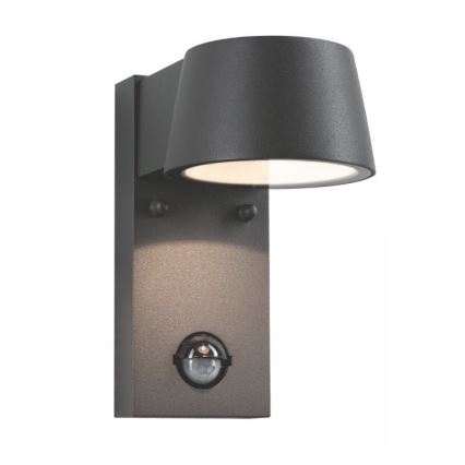 Paulmann 94453 - LED/6W IP44 Spoljašnje zidno svetlo sa senzorom CAPEA 230V
