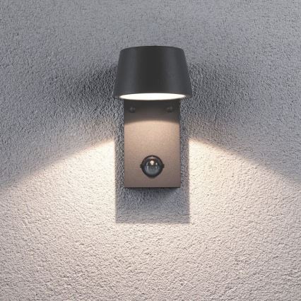 Paulmann 94453 - LED/6W IP44 Spoljašnje zidno svetlo sa senzorom CAPEA 230V
