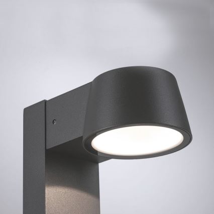 Paulmann 94454 - Spoljašnja LED lampa CAPEA, 6W, IP44, 230V