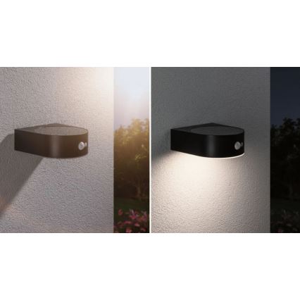 Paulmann 94570 - LED/5,5W IP44 Solarno zidno svetlo sa senzorom EILEEN 3,7V 2000 mAh