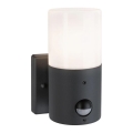 Paulmann 94648 - 1xE27/15W IP44 Spoljašnja zidna lampa sa senzorom TUBS 230V
