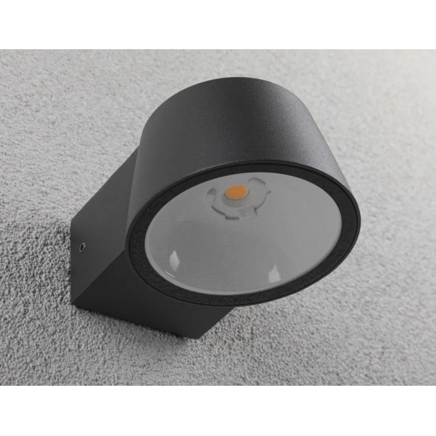 Paulmann 94713 - LED/6W IP44 spoljašnja zidna lampa CAPERA 230V