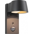 Paulmann 94714 - LED/6W IP44 Spoljašnje zidno svetlo sa senzorom CAPERA 230V 2200/3000K