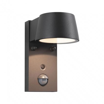 Paulmann 94714 - LED/6W IP44 Spoljašnje zidno svetlo sa senzorom CAPERA 230V 2200/3000K