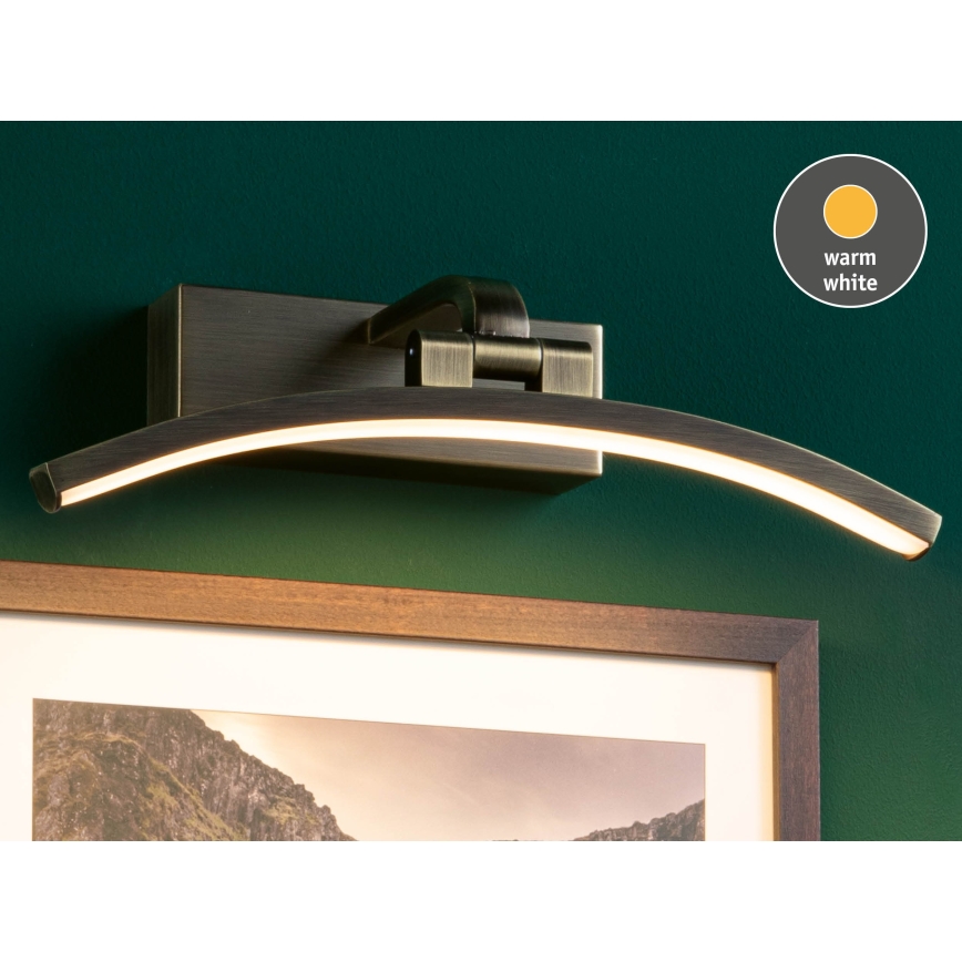 Paulmann 95559 - LED/6W lampa za slike BENTO 230V 30 cm mesing