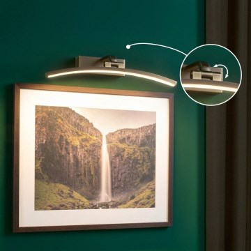 Paulmann 95560 - LED/8,5W svetlo za slike BENTO, 230 V, 40 cm, mesing