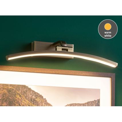 Paulmann 95560 - LED/8,5W svetlo za slike BENTO, 230 V, 40 cm, mesing