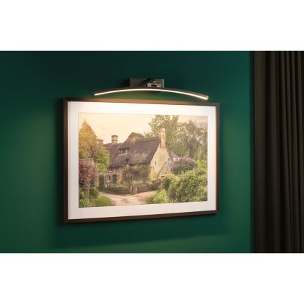Paulmann 95561 - LED 10W osvetljenje za slike BENTO, 230V, 50 cm, mesing