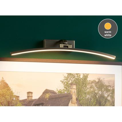 Paulmann 95561 - LED 10W osvetljenje za slike BENTO, 230V, 50 cm, mesing