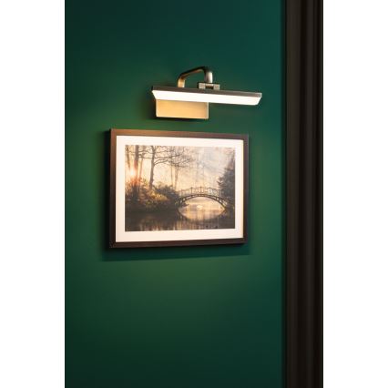 Paulmann 95568 - LED/6W Svetlo za slike RENAN 230V 30 cm mesing