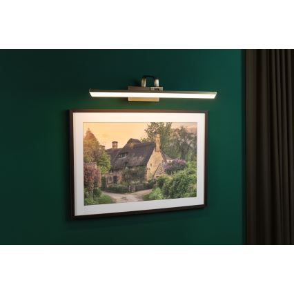 Paulmann 95570 - LED/11W Lampa za slike RENAN 230V 60 cm mesing
