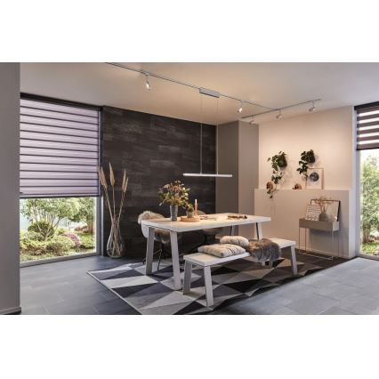 Paulmann 95578 - LED/40,5W prigušiva luster na sajli URAIL LENTO 230V 2700-6500K