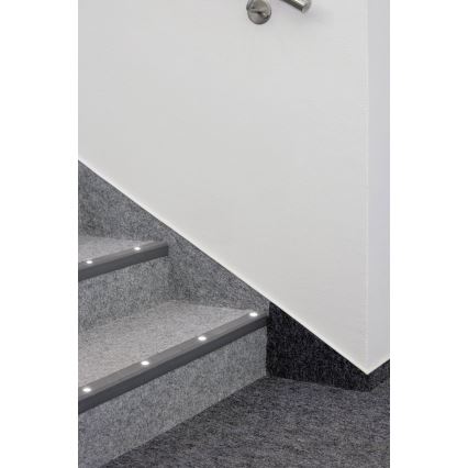 Paulmann 98891 - SET od 5 kom. LED/0,16W IP67 spoljna ugradna svetiljka MICRO 230V