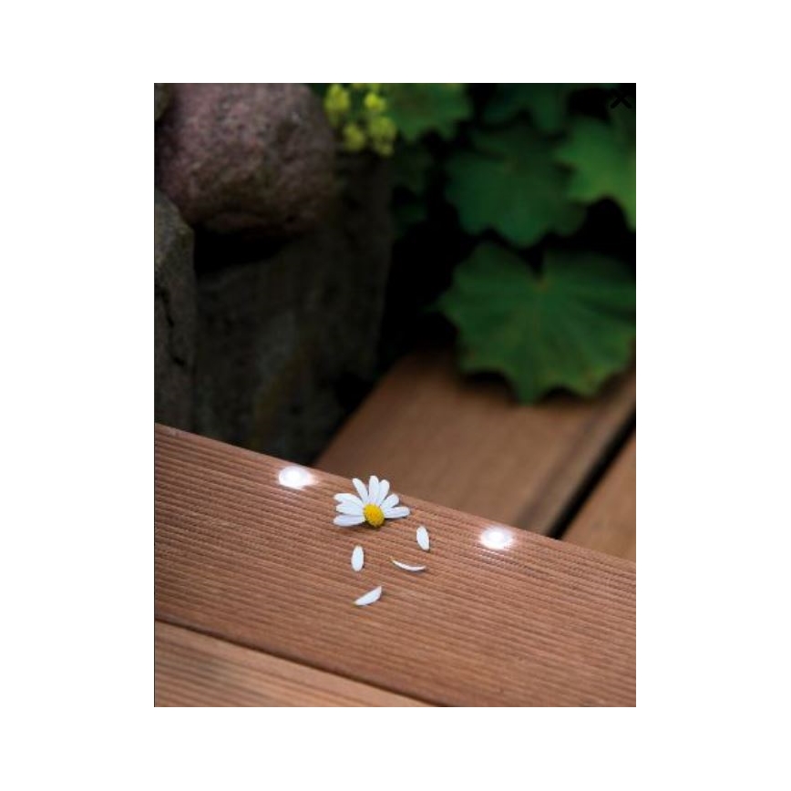 Paulmann 98891 - SET od 5 kom. LED/0,16W IP67 spoljna ugradna svetiljka MICRO 230V