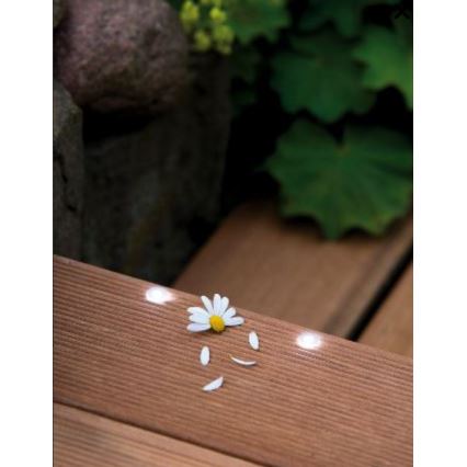 Paulmann 98892 - Set za proširenje 5x LED/0,16W IP67 spoljno ugradno svetlo MICRO 12V