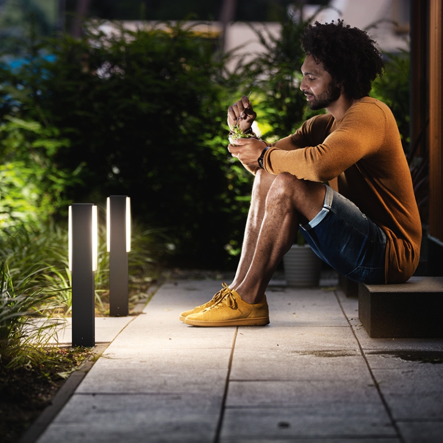 Philips - Spoljna stubna svetiljka 2xLED/4,5W IP44