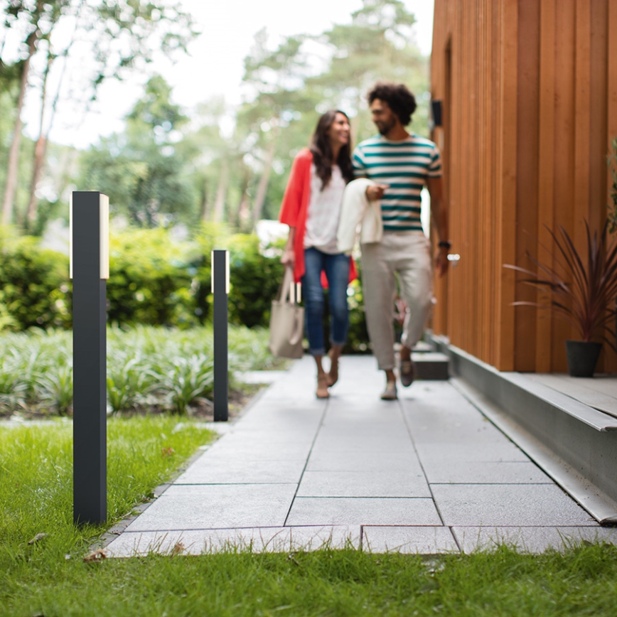 Philips - LED spoljašnja svetiljka 2xLED/4,5W/230V IP44