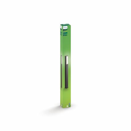 Philips - Spoljna stubna svetiljka 2xLED/4,5W IP44